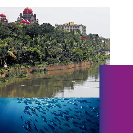 Atelier Hyderabad 2024 - 1ère Table ronde "Waterfront regeneration: Beyond Beautification"