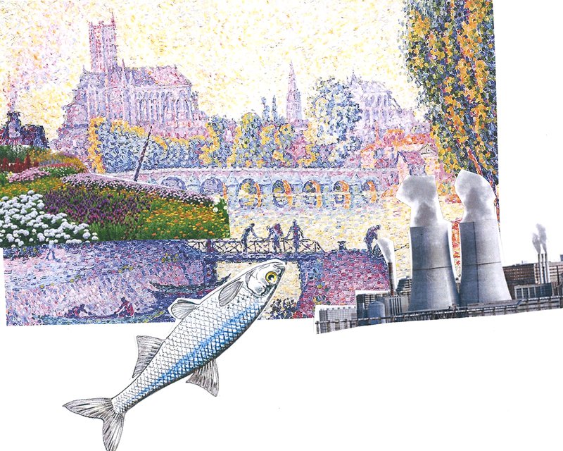 Reviving the River Seine