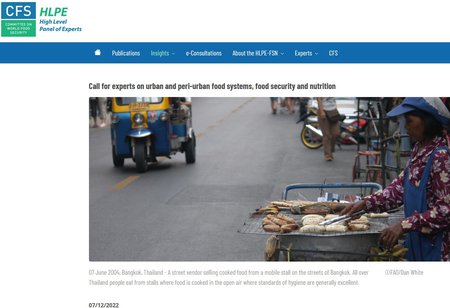 Call for experts for the upcoming report  "Strengthening urban and peri-urban food systems to achieve food security and nutrition in the context of urbanization and rural transformation"
