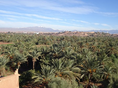 Ouarzazate et Tarmigt nous voilà !