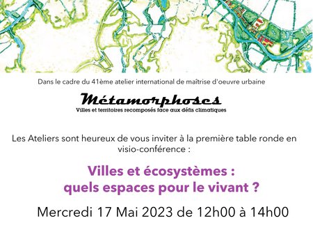 First online roundtable of the international workshop "Metamorphosis" on 17 May
