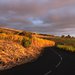 Photo de l'île de la Réunion