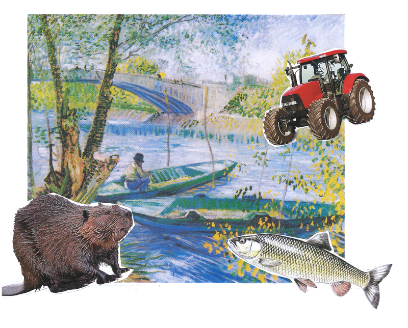 Industries, agriculture, leisure: coinhabiting in the Seine