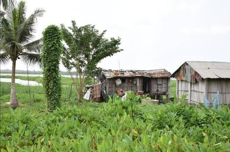 Porto-Novo, green city: a short report in the Benin capital city