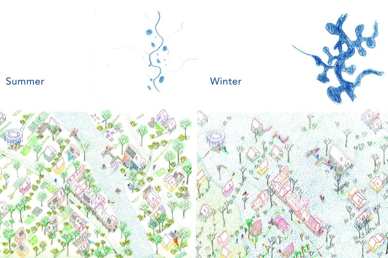 Understanding what water needs | The River Seine as a Great Garden — Les Ateliers de Cergy