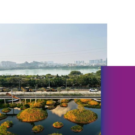 [Hyderabad workshop] Rountable 2: Sponge cities and water ecosystems