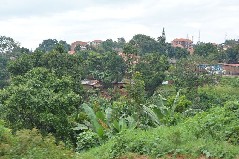 A green city