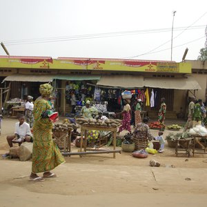 Ecosystème et développement urbain