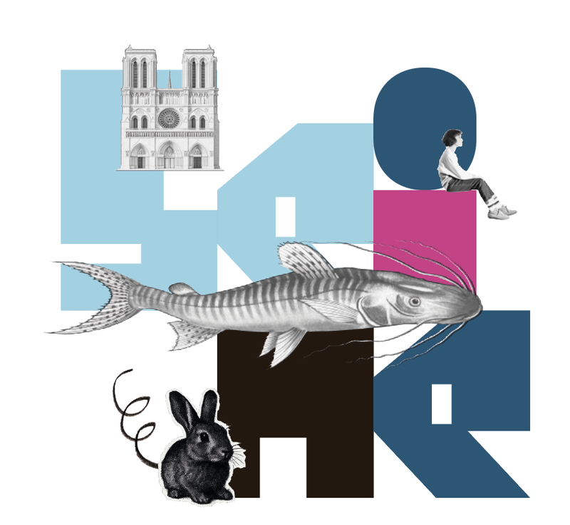 The Seine bassin, its landmarks and its inhabitants
